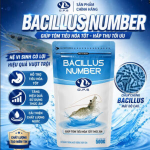 BACILLUS NUMBER 500G - Giúp tôm tiêu hóa tốt thức ăn