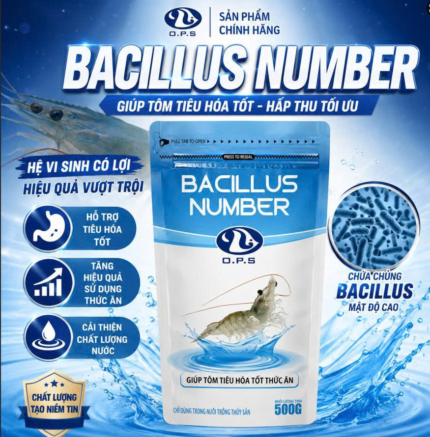 BACILLUS NUMBER 500G - Giúp tôm tiêu hóa tốt thức ăn
