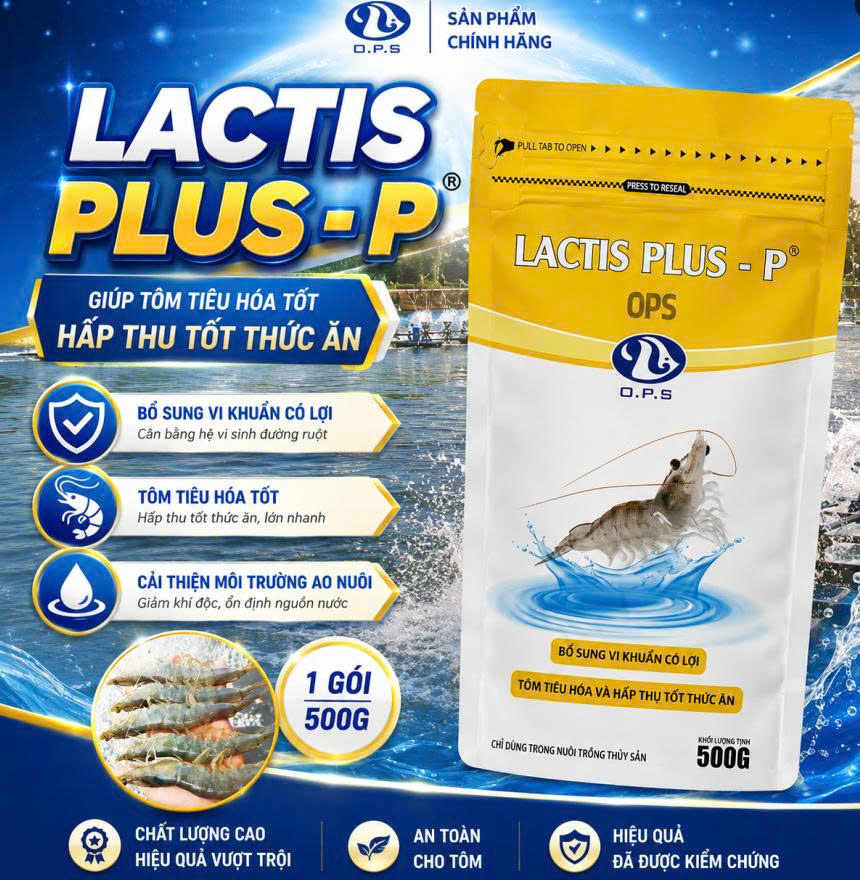 LACTIS PLUS-P 500G OPS - Giúp tôm tiêu hóa tốt thức ăn