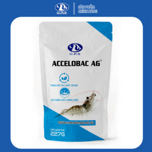 OPS ACCELOBAC AG 227G - Phân hủy các chất cặn bã, cải thiện chất lượng nước
