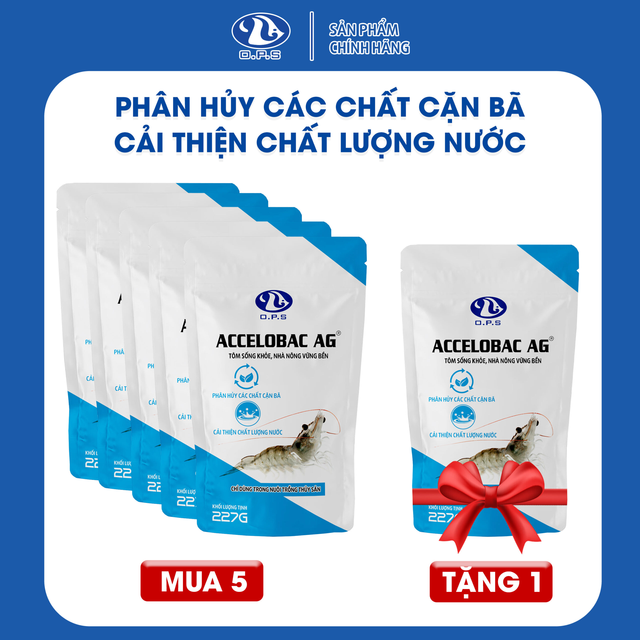 [ MUA 5 TẶNG 1 ] ACCELOBAC AG 227G - Phân hủy các chất cặn bã, cải thiện chất lượng nước