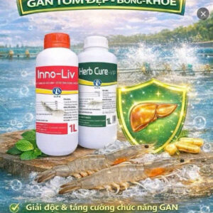 [ BỘ ĐÔI GAN TÔM ] - HERB CURE-VIP + INNO-LIV -Gan tôm đẹp, bông, khỏe - Giải Độc Tăng cường chức năng gan, chống sốc, ổn định tôm yếu, bổ sung vitamin, thảo dược giúp gan khỏe mạnh