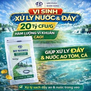 O.P.S BZT MAXWELL 500G - Bổ sung vi khuẩn có lợi, phân hủy mùn bã hữu cơ.
