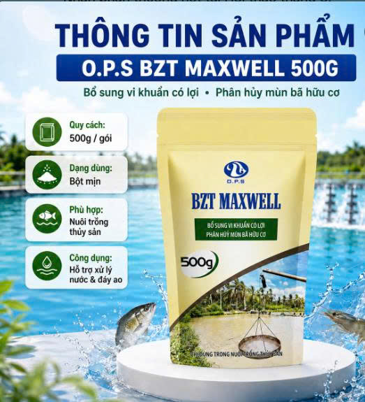 O.P.S BZT MAXWELL 500G - Bổ sung vi khuẩn có lợi, phân hủy mùn bã hữu cơ.