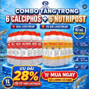 COMBO TĂNG TRỌNG: 6 CALCIPHOS + 6 NUTRIPOST