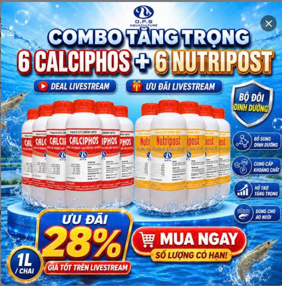 COMBO TĂNG TRỌNG: 6 CALCIPHOS + 6 NUTRIPOST