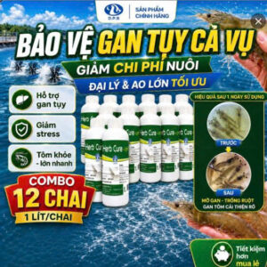 [ COMBO 12 CHAI ] OPS Herb Cure 1 LÍT