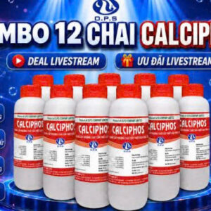 COMBO 12 CHAI CALCIPHOS 1L