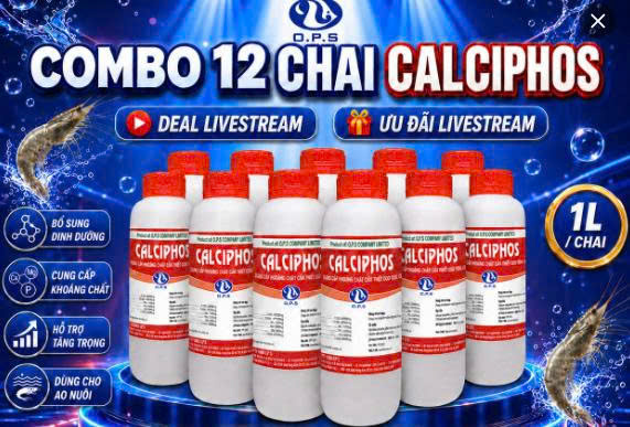COMBO 12 CHAI CALCIPHOS 1L